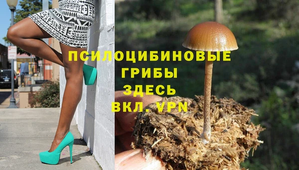 кристаллы Богданович