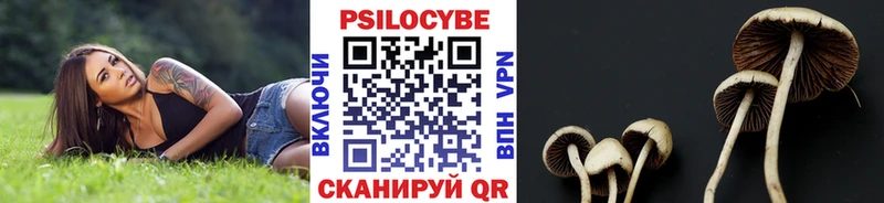 Псилоцибиновые грибы Cubensis  Купить где  Пыть-Ях 